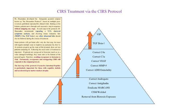Figure 1: Therapeutic Pyramid of the CIRS Protocol