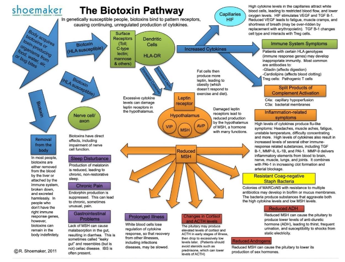 Figure 2: Dosing Cholestyramine / Welchol