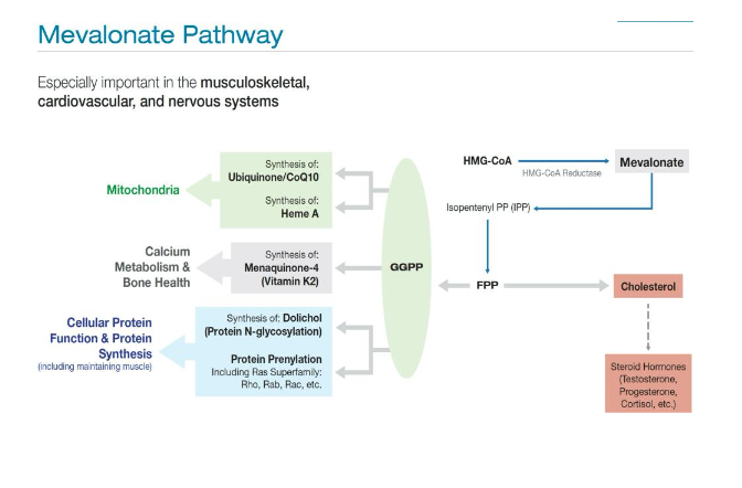 Figure 5: DDAVP Treatment for Low ADH & High Serum Osmolality