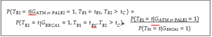 Figure 2. Equation for TP53 penetrance estimation.
