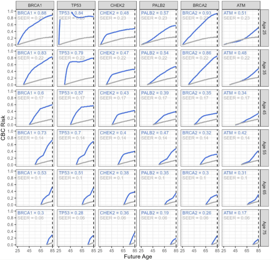 Figure 4. CBC carrier risk estimates for newly diagnosed breast cancer patients from ages 25 to 75 in increments of 10 years of age and is stratified by P/LP gene. In each panel, CBC risks for assumed non-carriers from SEER are also plotted as a reference. The numbers in the top left of each panel are the lifetime risks (up to age 85) for both the gene carriers and the general population from SEER. The rows represent the patient age from youngest on the top to oldest on the bottom.