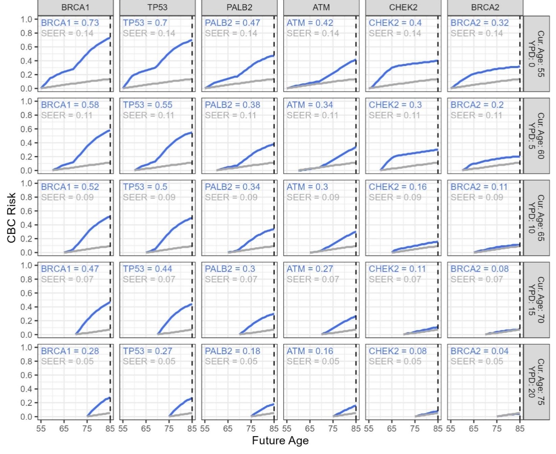 Figure 5. CBC risk estimates at various future ages for a patient diagnosed with unilateral breast cancer at age 55, stratified by P/LP gene carrier status. Rows represent patient age and number of years post-diagnosis (YPD). The numbers in the left upper corner of each facet are the lifetime CBC risk estimates by age 85. Cur. Age: current age, YPD: years post-diagnosis from a unilateral breast cancer, CBC: contralateral breast cancer, CHEK2: c.1100delC variant.
