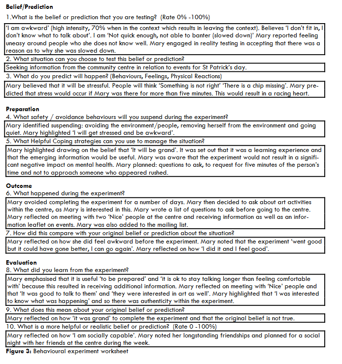 Figure 3: Behavioural experiment worksheet