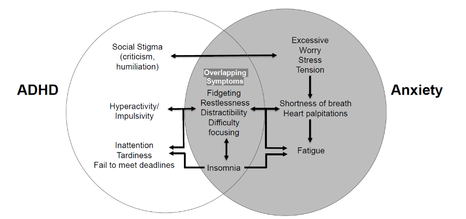 Figure 1. Interconnected relationship between ADHD and anxiety symptoms.