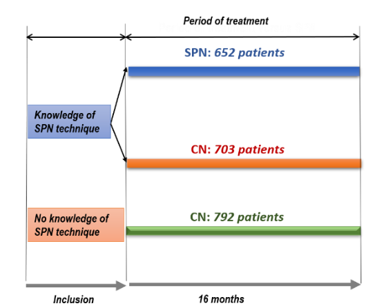 Flow Chart of repartition of groups patients