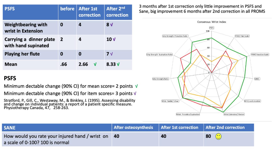 Figure 1b: The consensus wrist index for case 1.