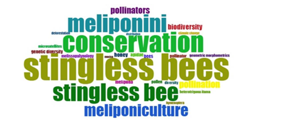 Fig. 4 Word cloud using authors’ keywords in the scientific literature on conservation of stingless bees’ research (2000–2025)