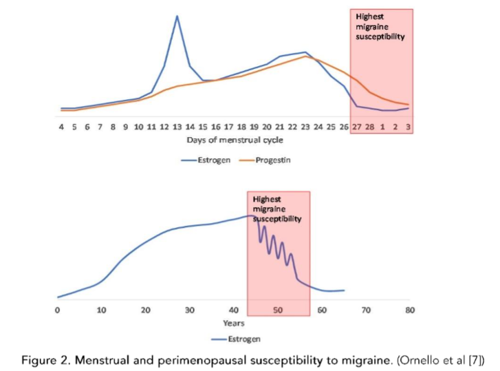 Figure 2. Menstrual and perimenopausal susceptibility to migraine. (Onello et al [7])