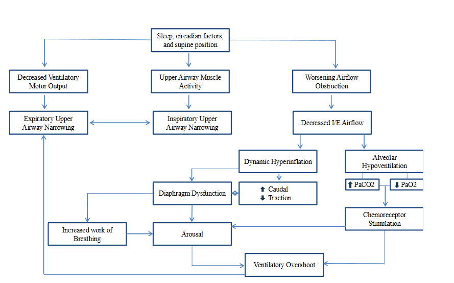 Figure 1: Sleep Cycle Disruptions in Chronic Obstructive Pulmonary Disease. Reprinted with permission of the American Thoracic Society. Copyright © 2025 American Thoracic Society. All rights reserved. Malhotra A, et al. Research priorities in pathophysiology for sleep-disordered breathing in patients with chronic obstructive pulmonary disease: an official American Thoracic Society research statement. Am J Respir Crit Care Med. 2018;197(3):289-299.