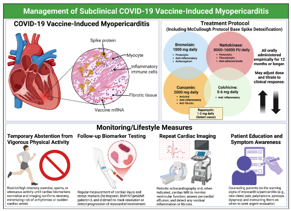 Figure 3. Management of Subclinical COVID-19 Vaccine-Induced Myopericarditis. This schematic summarizes a structured management approach to subclinical COVID-19 vaccine-induced myopericarditis. The lower panel emphasizes foundational monitoring and lifestyle measures, including temporary abstention from vigorous physical activity, serial biomarker testing, repeat cardiac imaging, and patient education regarding warning symptoms. The upper right panel illustrates pharmacologic strategies, beginning with the McCullough Protocol Base Spike Detoxification (nattokinase 8000–16,000 FU daily, bromelain 500-1000 mg daily, curcumin 500-1000 mg daily), combined with colchicine 0.6 mg daily, and in select cases, rapamycin 1–2 mg daily. All therapies are typically administered for 12 months or longer, with dose adjustment based on clinical response.