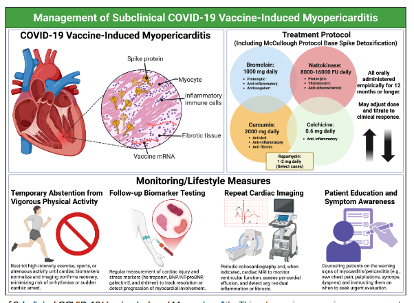 Figure 3. Management of Subclinical COVID-19 Vaccine-Induced Myopericarditis. This schematic summarizes a structured management approach to subclinical COVID-19 vaccine-induced myopericarditis. The lower panel emphasizes foundational monitoring and lifestyle measures, including temporary abstention from vigorous physical activity, serial biomarker testing, repeat cardiac imaging, and patient education regarding warning symptoms. The upper right panel illustrates pharmacologic strategies, beginning with the McCullough Protocol Base Spike Detoxification (nattokinase 8000–16,000 FU daily, bromelain 500-1000 mg daily, curcumin 500-1000 mg daily), combined with colchicine 0.6 mg daily, and in select cases, rapamycin 1–2 mg daily. All therapies are typically administered for 12 months or longer, with dose adjustment based on clinical response.