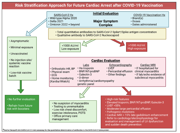 Figure 2: Risk Stratification Approach for Future Cardiac Arrest After COVID-19 Vaccination. Green boxes indicate clinical features, test results, and patients at lower risk. Red and pink boxes show tests and results indicating higher risk. Hx: History; AU/mL: Antibody units per milliliter; HR: Heart rate; BP: Blood pressure; ECG: Electrocardiogram; Hs-troponin: High-sensitivity troponin; BNP/NT-proBNP: Brain natriuretic peptide and N-terminal proBNP; LVEF: Left ventricular ejection fraction; POTS: Postural orthostatic tachycardia syndrome.