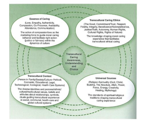 Figure 1. Ray’s transcultural caring dynamics in nursing and health care model. From Ray, M. Transcultural caring dynamics in nursing and health care (1st & 2nd eds.). Philadelphia, PA: F.A. Davis Company, used with permission.