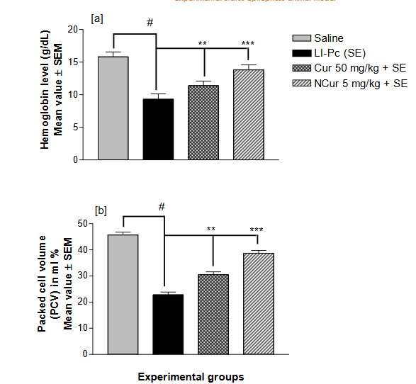 Figure 2b. Scanning Electron Microscopy (SEM) data of NCur.