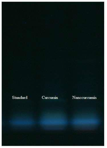 Figure 1a. Thin layer chromatography (TLC) data of Curcumin (Cur) and Nano curcumin (NCur).