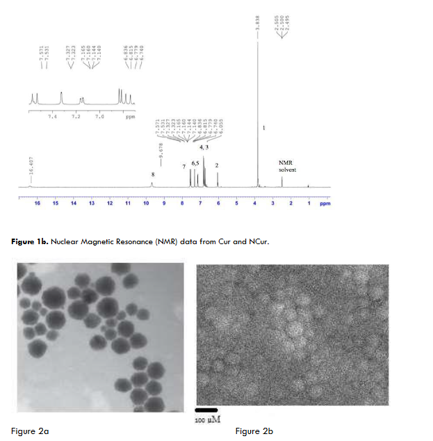 Figure 1b. Nuclear Magnetic Resonance (NMR) data from Cur and NCur.