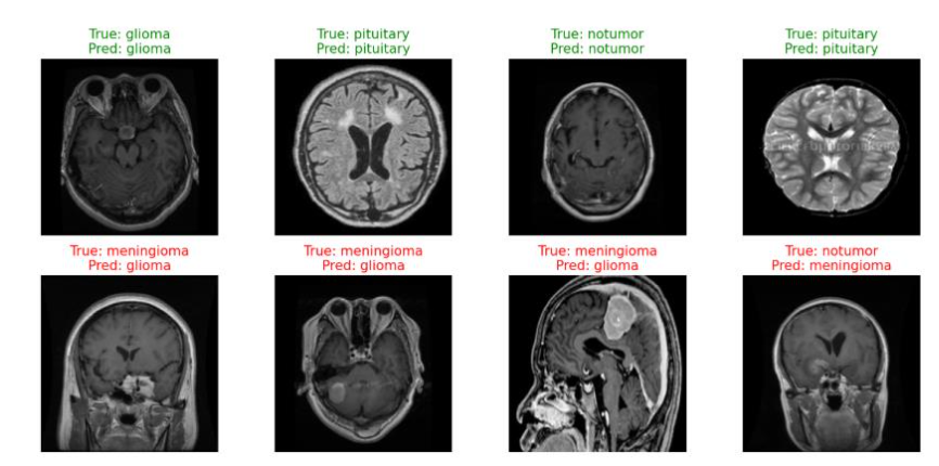 Qualitative Segmentation and Classification Results