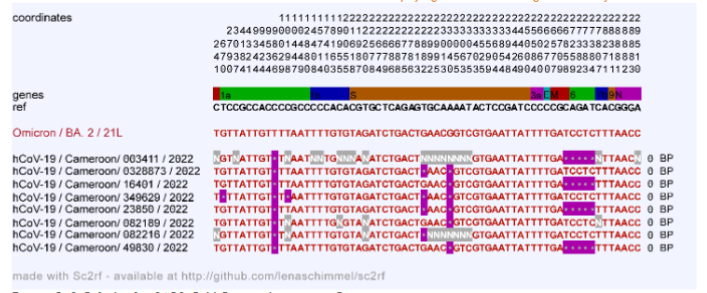 Figure 2. Sc2rf plot for SARS-CoV-2 recombination in Cameroonian strains.