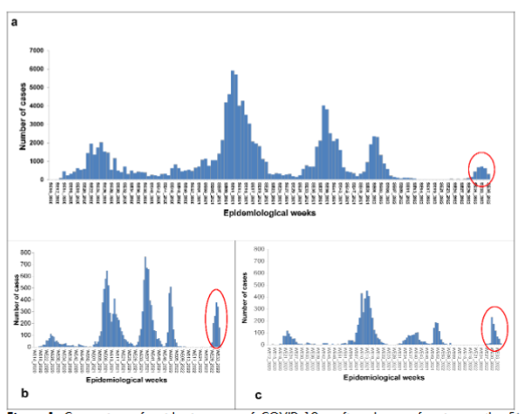 Figure 1. Comparison of epidemic curves of COVID-19 confirmed cases focusing on the 5th wave of resurgence in Cameroon.