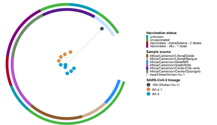 Figure 3. Phylogenetic tree of SARS-CoV-2 BA.4 and BA.5 lineages in Cameroon.