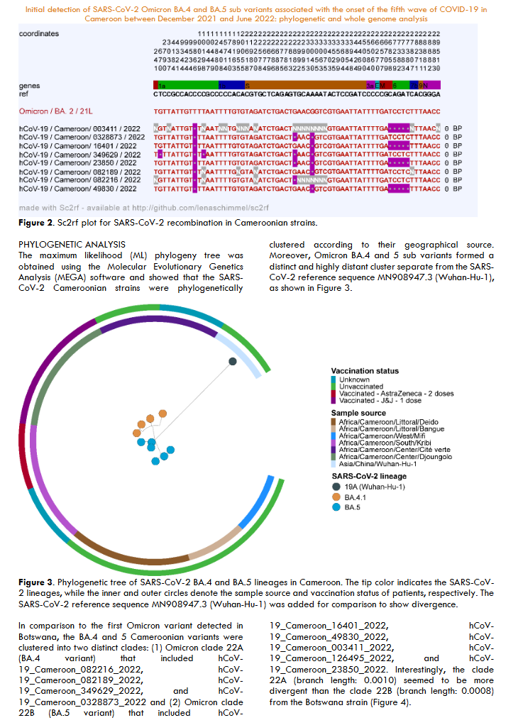 Figure 2. Phylogenetic tree of SARS-CoV-2 BA.4 and BA.5 lineages in Cameroon. The tip color indicates the SARS-CoV-2 lineages, while the inner and outer circles denote the sample source and vaccination status of patients, respectively. The SARS-CoV-2 reference sequence MN908947.3 (Wuhan-Hu-1) was added for comparison to show divergence.