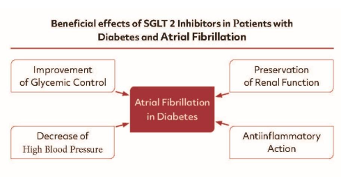 Beneficial Effects of SGTL 2-Inhibitors in Patients with Diabetes and Atrial Fibrillation. These effects can be explained by several mechanisms including Improvement Glycemic Control, Decrease of High Blood Pressure, Preservation of Renal Function and Antiinflammatory Action.