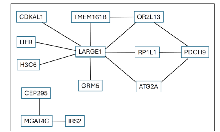 Figure 1. Connections among 13 genes in 14 significant gene pairs