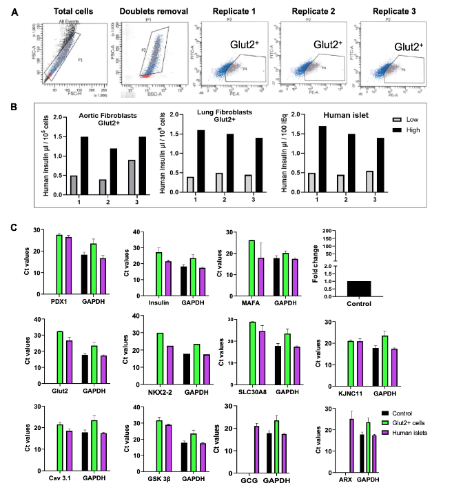 Figure 3: Multiplex Epigenetic Engineering Vector Assembly.