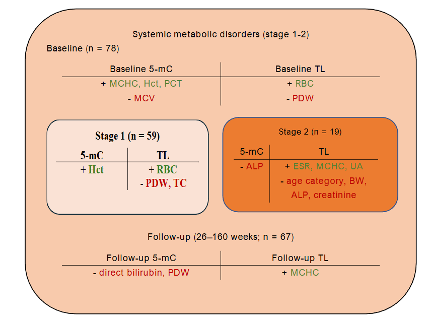 Significant predictors of 5-methylcytosine levels and telomere length in patients with systemic metabolic disorders. 5-mC, 5-methylcytosine; ALP, alkaline phosphatase; BW, body weight; ESR, erythrocyte sedimentation rate; Hct, hematocrit; MCHC, mean corpuscular hemoglobin concentration; MCV, mean corpuscular volume; PDW, platelet distribution width; PCT, plateletcrit; RBC, red blood cell count; TC, total cholesterol; TL, telomere length; UA, uric acid.