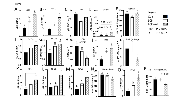 Figure 2: Experimental design for the study.