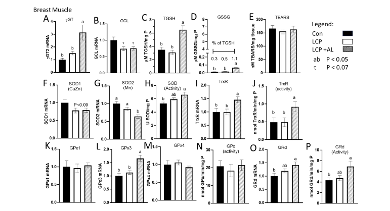 Figure 3: Effect of feeding Spirulina platensis on antioxidant enzyme activity in breast muscle.