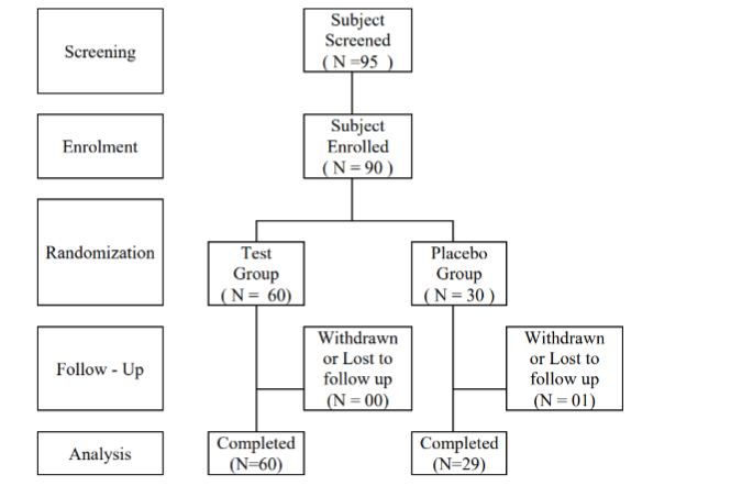 Figure 1: Patient Flow chart