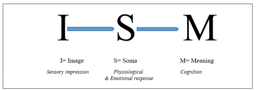 The triple code model of Eidetic Image
