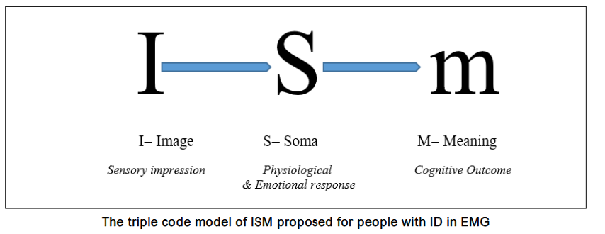 ISM for people with Intellectual Disabilities