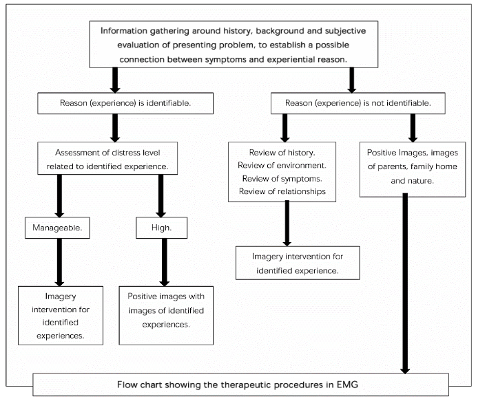 Therapeutic procedures of Eidetic Psychotherapy for people with intellectual disabilities as adapted in EMG