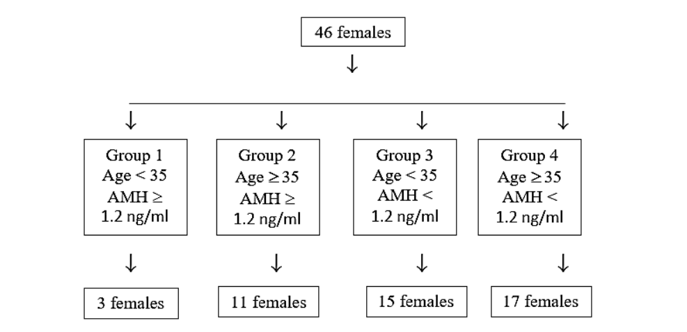 Figure 1. Flow diagram of study design (AMH - Anti Müllerian Hormone)