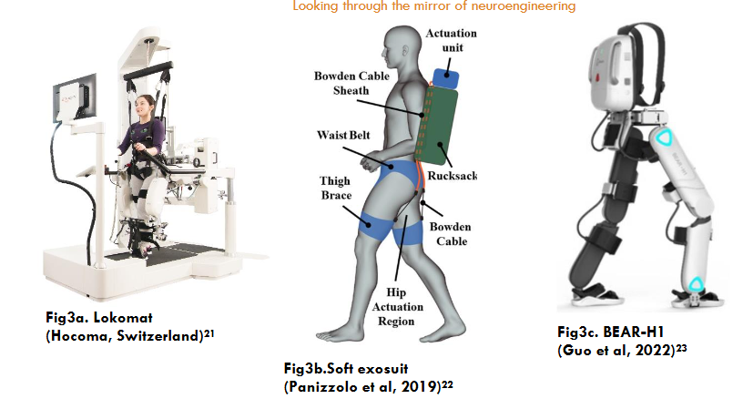 Multi joint assisted lower limb training robots