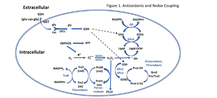 Figure 1. Factors affecting global food and nutrition security