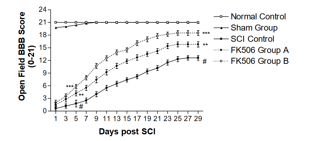 Figure 1: Effect of FK506 on gait performance tunnel (GPT) behavioral motor performance activities (BBB Score) of hind limbs of rats subjected to spinal cord injury (SCI). The graph shows the comparative functional recovery from SCI over 29 days. Animals were treated with the drugs daily after SCI for 3 weeks. FK506 Group A is (1 mg/kg with no enforced walk), and FK506 Group B is (1 mg/kg with a daily enforced walk). The groups are effective in the order Group B > Group A.