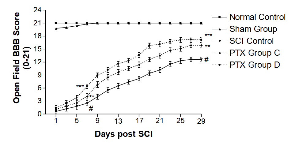 Figure 2: Effect of PTX on gait performance tunnel (GPT) behavioral motor performance activities (BBB Score) of hind limbs of rats subjected to spinal cord injury (SCI). The graph illustrates the comparative functional recovery from spinal cord injury (SCI) over 29 days. Animals were treated with the drugs daily after SCI for 3 weeks. PTX Group C is (10 mg/kg with no enforced walk), and PTX Group D is (10 mg/kg with a daily enforced walk). The groups are effective in the order Group D > Group C.