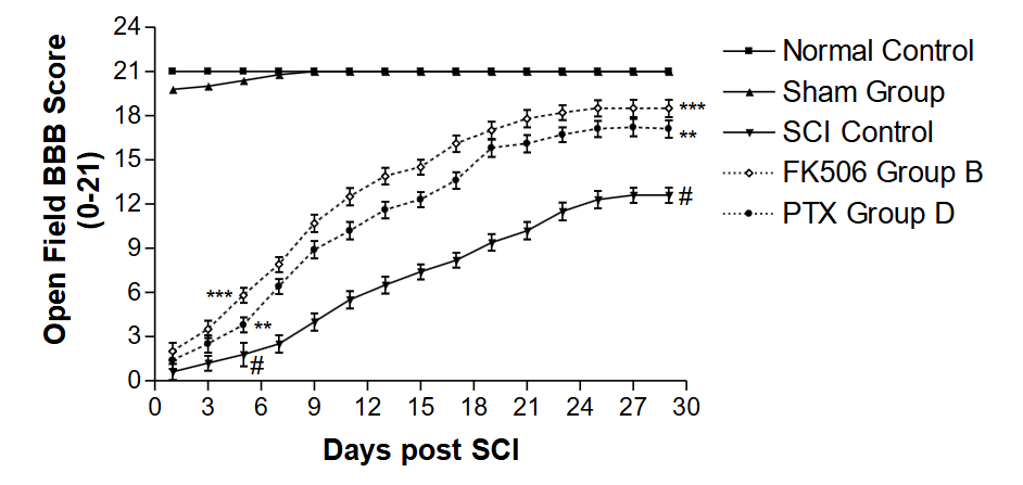 Figure 3: Comparative effects of FK506 and PTX on gait performance tunnel (GPT) behavioral motor performance activities (BBB Score) of hind limbs of rats subjected to spinal cord injury (SCI). The graph illustrates the comparative functional recovery from spinal cord injury (SCI) over 29 days. Animals were treated with the drugs daily after SCI for 3 weeks. PTX Group D is (10 mg/kg with a daily enforced walk), and FK506 Group B is (1 mg/kg with a daily enforced walk). The groups were effective in the order Group B > Group D.