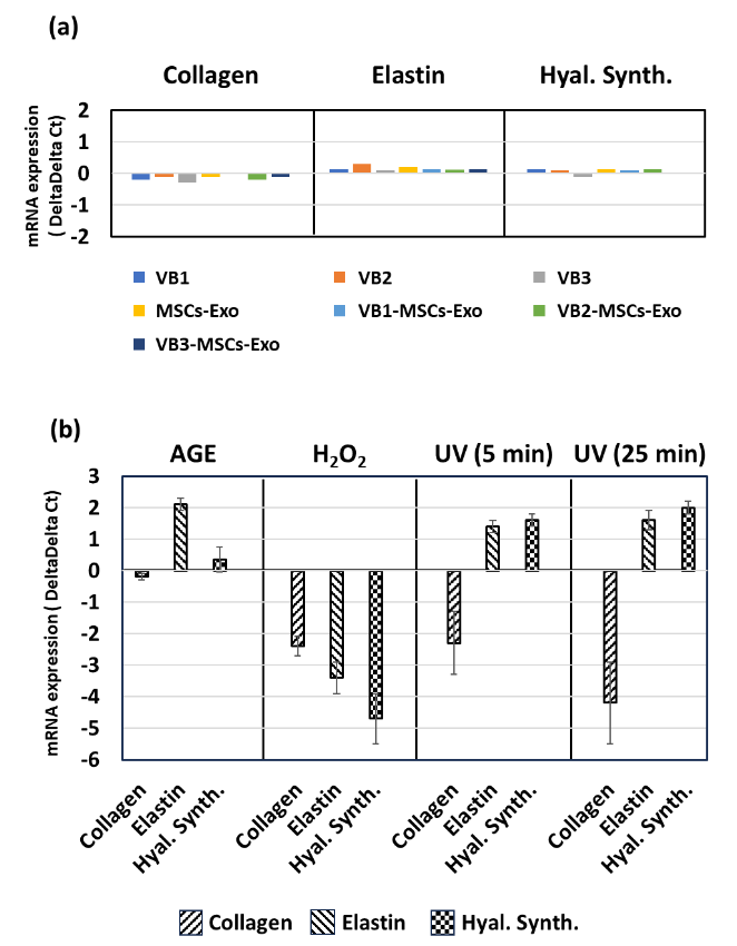 Changes in the expression of three stress response parameters (collagen, elastin, and hyaluronic acid synthase) in human dermal fibroblasts. (a) Human dermal fibroblasts were cultured with VBs or various types of exosomes for 4 h, and the expression of stress response parameters were measured. (b) Human dermal fibroblasts were treated for 2 h with 100 mg/ml AGE, 0.2 mM H2O2, or UV irradiation at 2 J/cm2 (5 min) or 10 J/cm2 (25 min). Total RNA was extracted, and the expression of parameters was quantified.