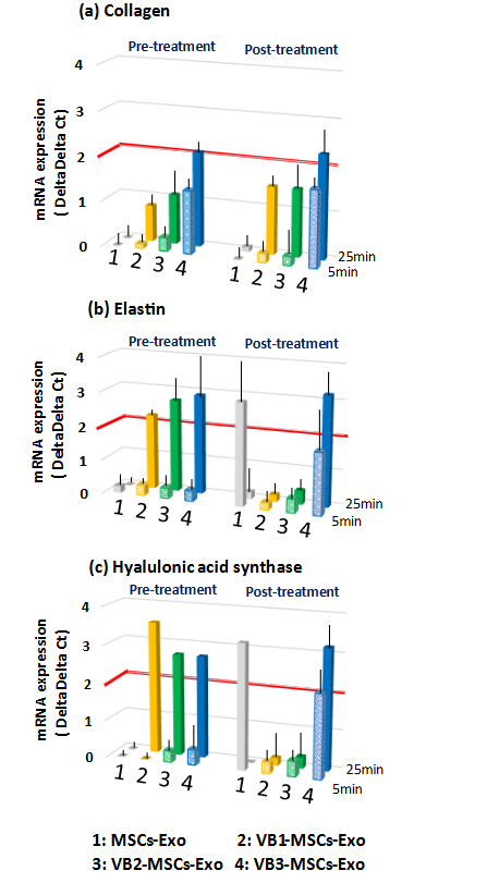 Effects of pre- or post-treatment with four types of exosomes on the expression of collagen (a), elastin (b), and hyaluronic acid synthase (c) in HDFs treated with UV irradiation for 5 min or 25 min. The numbers shown in the figures indicate the types of exosomes used for stimulation as follows. 1: MSCs-Exo, 2: VB1-MSCs-Exo, 3: VB2-MSCs-Exo, 4: VB3-MSCs-Exo. A significant difference is considered when the delta delta Ct value differs by more than two-fold compared to the control.