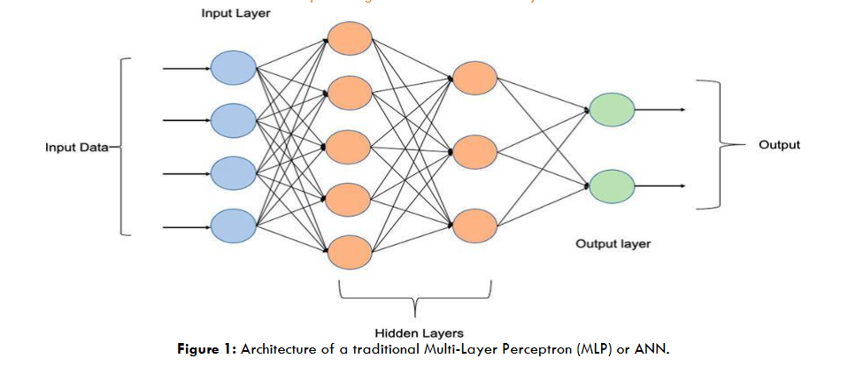 Figure 1: Architecture of a traditional Multi-Layer Perceptron (MLP) or ANN.