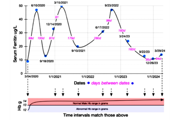 Time-series of serum ferritin (µg/L; blue points) and hemoglobin (g/dL; pink band) in a 64-year-old Asian Indian semi-professional pickleball player with Barrett's esophagus without dysplasia. Ferritin fluctuated but was predominantly <50 µg/L with a nadir of 10 µg/L, while hemoglobin remained 13-14 g/dL. Probable contributors to iron and cobalamin deficiency include proton pump inhibitor related hypochlorhydria, metformin use for type 2 diabetes (associated with B12 malabsorption), and high-volume daily exercise with sweat iron losses and episodic cytokine-driven (e.g., IL-6) hepcidin elevations. The patient frequently consumed Fryums, a behavior resembling starch-related pica described in iron deficiency. Management included intravenous iron repletion and 1,000 µg cyanocobalamin administered subcutaneously, followed by daily oral B12 (1,000 µg), with the intent to correct latent deficiencies, mitigate oxidative and epigenetic stress, and reduce the risk of progression from Barrett's metaplasia to dysplasia or malignancy.