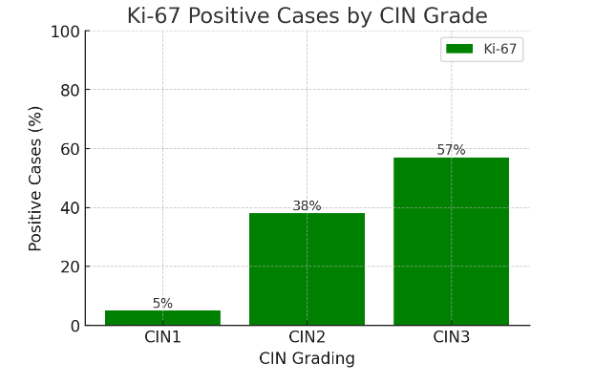 Figure 1: Bar chart showing the percentage of Ki-67 positive cases across different CIN grades (CIN1, CIN2, CIN3). Ki-67 expression compared in patients with CIN1 vs CIN2 and CIN2 vs CIN3. p<0.0001 in both cases.