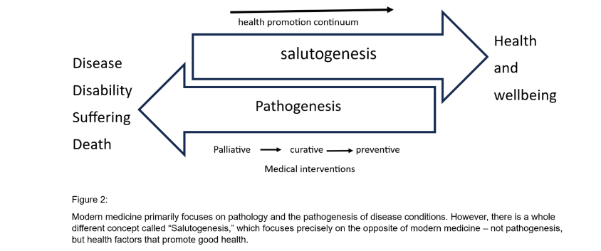 Figure 2: Salutogenic Model