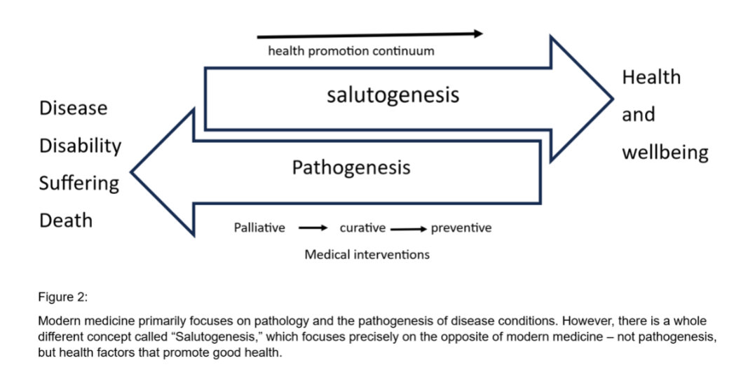 Figure 2: Salutogenic Model.