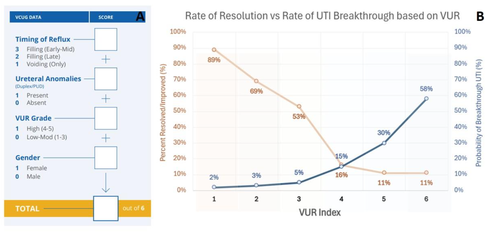 Figure 1 - Scoring the components of the VUR index based on the initial VCUG. Points are given for VUR timing, female gender, the presence of ureteral anomalies (periureteral diverticulum or complete duplication), and high-grade reflux. The absence of ureteral anomalies and the presence of low or moderate grade VUR are each given a weight of zero (A). Rates of spontaneous resolution as well as risk future or recurrent febrile UTI rates based on VUR Index. (B).