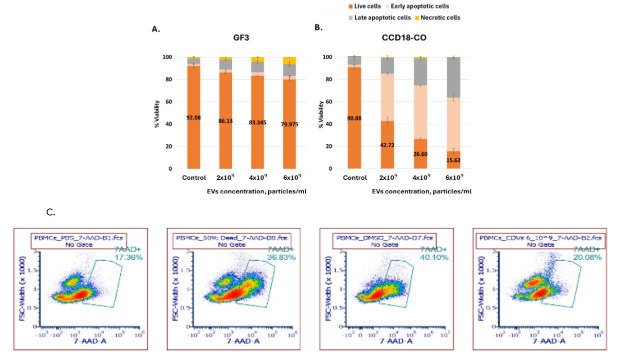 Figure 10: Apoptotic response and viability analysis of non-cancerous and peripheral blood mononuclear cells treated with p53-containing vesicles. Dose-dependent apoptotic response of GF3 A. and CCD-18CO B. treated with increasing concentrations of EVs for 48 hours. Bars represent percentage of live cells (orange), early apoptotic (beige), late apoptotic (gray), and necrotic cells (yellow), determined by Annexin V/PI test. GF3 exhibited very mild apoptosis levels, while CCD-18Co cells showed a more pronounced dose-dependent response. Data is presented as mean ± SD from two independent experiments. Flow cytometry analysis of human PBMCs stained with 7-AAD to assess cytotoxicity after EV treatment. PBMCs treated with PBS (negative control) showed 17.36% 7AAD+ cells, 50% dead control showed 36.83%, DMSO-treated cells showed 40.10%, and PBMCs treated with p53-containing EVs (6×10<sup>9</sup> particles/ml) exhibited 20.08% 7AAD+ cells. These results indicate minimal cytotoxicity of EVs on immune cells compared to controls.